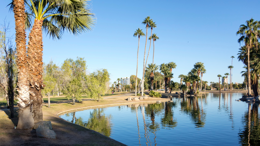 Reflections in Encanto Park Lake, Phoenix, AZ