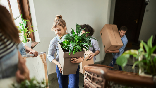 Woman carries plant in apartment while moving