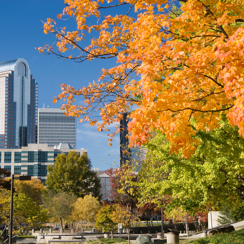 alt="capturing the essence of autumn in Charlotte, North Carolina"