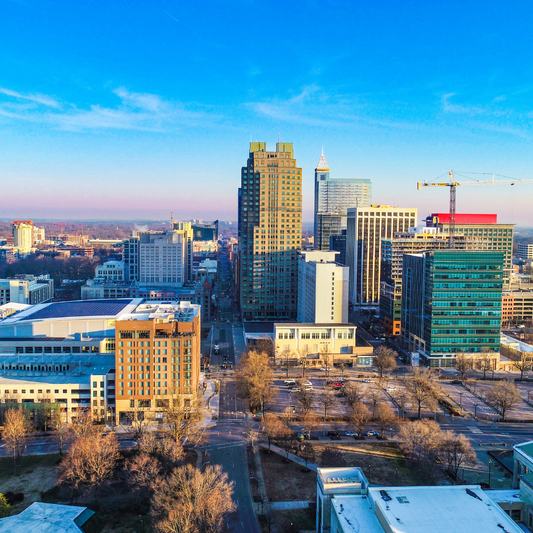 alt="the aerial skyline view in Raleigh, North Carolina"